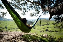 Praktiker kirendeltségek kecskemét ⏰ nyitvatartása. Praktiker Mester Utca Nyitvatartas Cim Telefonszam Uzletek