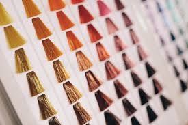 Hair Color Samples Stock Image Image Of Female Colour
