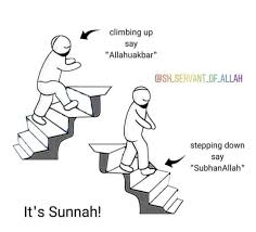 Pin On It S Sunnah