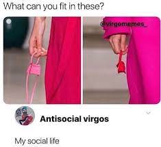 28 Funny And Relatable Virgo Memes That Are Basically Facts Virgo Memes Funny Virgo Quotes Virgo Birthday Quotes