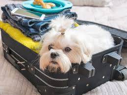 In summer we're very busy, so we work a lot of extra hours, or overtime ; Employees Reveal The 10 Things You Should Never Do In A Hotel