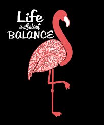 Find & download free graphic resources for flamingo pattern. Flamingos Bird Flamingo Funny Sayings Gift Digital Art By Evgenia Halbach