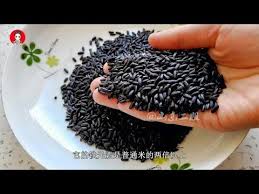 84岁钟院士推荐多吃黑米 不熬粥不煮饭 做一次7天早餐都不用愁in 2021