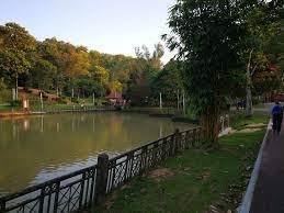 Give the gift of adventure. Too Many Paths And It Is Confusing Review Of Bukit Kiara Park Kuala Lumpur Malaysia Tripadvisor