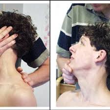 PDF) Connections between PNF and MT