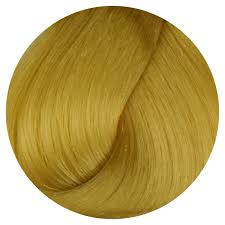 Hortaleza Professional Hair Coloring Cream Regular 10 0 Hair