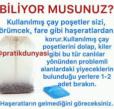 Bilgi Panosundaki Pin