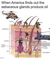 Find the perfect oil glands stock photo. When Americans Find Out Sebaceous Glands Produce Oil Pewdiepiesubmissions