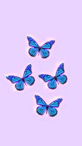 Butterfly Aesthetic Wallpaper Blue Butterfly Wallpaper Iphone Wallpaper Glitter Butterfly Wallpaper