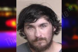 Levi Henderson — Walker County Jail Bookings