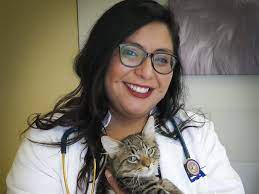 Banfield the pet hospital illinois hours and locations. Aurora Vets At Vca Aurora Animal Hospital Primary