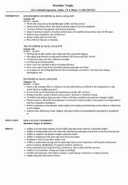 clinical data analyst