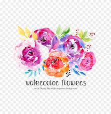 All watercolor flowers png images are displayed below available in 100% png transparent white background for free download. Watercolor Flowers Png Free Image Free Flower Watercolor Background Png Image With Transparent Background Toppng
