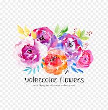 All watercolor flowers png images are displayed below available in 100% png transparent white background for free download. Watercolor Flowers Png Free Image Free Flower Watercolor Background Png Image With Transparent Background Toppng