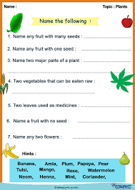 In this blog, we are providing some worksheets for parents and teachers who are in search of free pdf downloadable worksheets for lower kindergarten (lkg) students. 18 Evs Worksheets Ideas Kindergarten Science Worksheets 1st Grade Worksheets