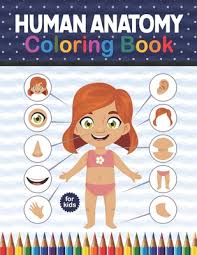 Many girls also enjoy toys that are creative in nature. Human Anatomy Coloring Book For Kids Human Body Student S Self Test Coloring Book Human Body Anatomy Coloring Book For Kids Boys And Girls And Medi Paperback Rj Julia Booksellers
