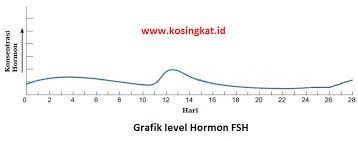 Lengkap dengan data data kunci jawaban buku pr matematika smp kelas 7 intan pariwara. Kunci Jawaban Ipa Kelas 9 Halaman 47 49 Uji Kompetensi 1 Kosingkat