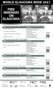 In progression of the disease (change in diagnosis) in malays. Telemedicine Low Vision Services For Glaucoma Patients The Wellness Insider