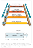 Image result for who pain relief ladder second step treatment diabetic neurop