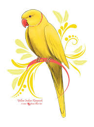 Bird Drawing For Kids Parrot Sylvanmist Shop Redbubble Parrots Art Parrot Painting Bird Drawings