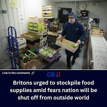 The Government needs to prepare to 'divert the nation's resources' in the  case of an emergency, a Labour peer has warned