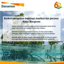 Sedangkan yang berada di urutan kedua adalah brasil dengan besar hutannya seluas 4.776.980 km2. Bank Danamon Sebagai Negara Kepulauan Indonesia Facebook