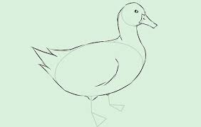 Gambar diatas saya kira sangat sederhana dan mudah untuk digambar. Sketsa Bebek Dan Cara Menggambarnya Mudah Banget