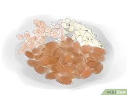 نتیجه جستجوی لغت [acidify] در گوگل