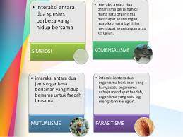 Saling Bersandaran Antara Organisma Hidup Dengan Persekitaran