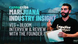 Marijuana Industry Insight Episode 7 Veg Bloom Nutrients Interview Review With Founder