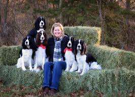 Springer spaniel puppies english springer spaniel cocker spaniel cute puppies dogs and puppies corgi puppies what do you mean beautiful dogs dog love. Good Dog Center Jill Dunham