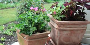 Maybe you would like to learn more about one of these? Easy To Create Container Gardens For Houston Summers