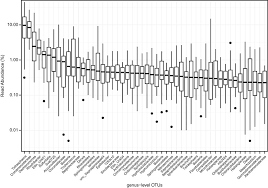 Image result for Brachythrix