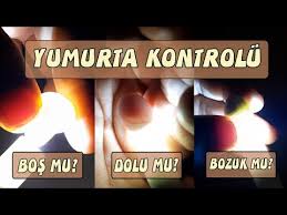 Yumurta Kontrolu Yumurtalar Dolumu Bosmu Nasil Anlariz Youtube
