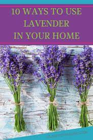 10 Ways To Use Lavender In The Home Lavender Uses Lavender Rosemary Plant