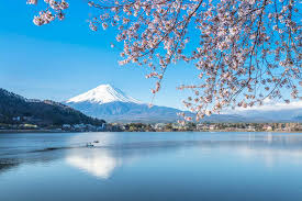 Japan Cherry Blossoms And Mt Fuji Motorcycle Tour