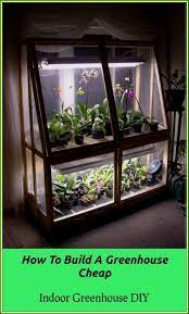 You can build a tiny greenhouse out of 3 storm windows. Indoor Greenhouse Diy Can Be Fun And Rewarding Rachyl Gardening Indoor Greenhouse Diy Greenhouse Orchid Care