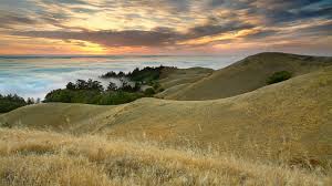 Best 59 Jw Org Wallpaper On Hipwallpaper Check out our jw ipad wallpaper selection for the very best in unique or custom, handmade pieces from our shops. best 59 jw org wallpaper on hipwallpaper