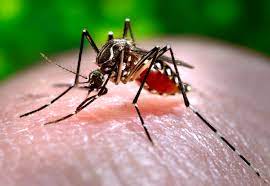 Do not spray directly on face; The Low Down On Mosquito Control Services Wtop