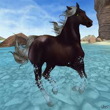 U Sokash And Play All Day In South Hoof Fresian Sport Horse Star Stable Horses Star Stable Horses