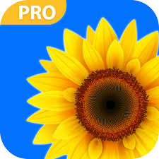 Gallery lock manages pictures and videos by individually hiding . Gallery 2021 Pictures Gallery Gallery Lock Apk 1 0 0 Download Apk Latest Version