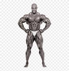 Man in the gym exercising biceps with barbell. Bodybuilding Titles Ronnie Coleman Full Body Hd Png Download 431x800 1341671 Pngfind
