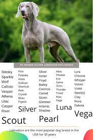 Dog Names Dog Names Dog Names Male Puppy Names