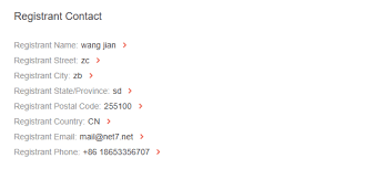Reverse Domain Hijacking And The Use Of Whois And Domain Brand Monitoring Tools