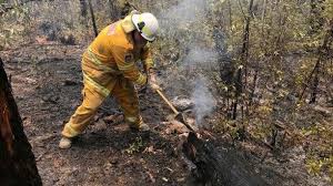 Bushfires Thousands Evacuated From Australian Tourist Haven Tourist Bushfires In Australia Australian