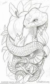 Pix For Snake Tattoo Wrapped Around Leg Apple Tattoo Snake Art Snake Drawing