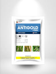 Antigold 775WP