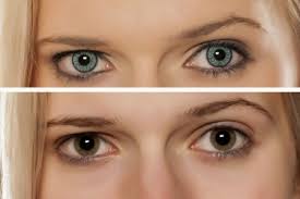 In idaho, seniors have a number of different medicare advantage plans to choose from. Cosmetic Contact Lenses Summit Eyecare Summit Eyecare Optometry In Idaho Falls Id Us