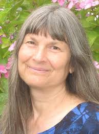 Herbal ABC's The Foundation of Herbal Medicine : Dr. Sharol Tilgner,  Deborah Frances N.D. R.N., Paul Bergner, Danielle Graham, Luigi Fiore, D.M.  Fratz, Tiffany Sanford, Sharol Tilgner N.D.: Amazon.com.au: Books