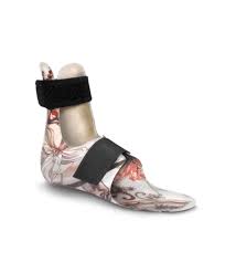 Image result for Orthopichonia